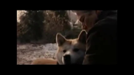 Трогателна История за най преданото куче на света Акита филм по Действителен Случай