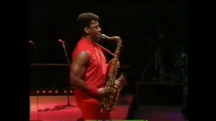 Bruce Springsteen - Hungry Heart - live Paris 85 