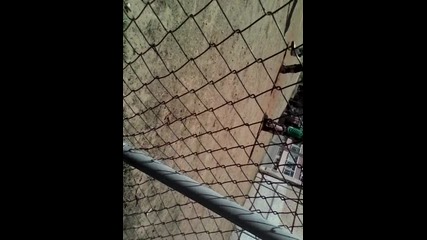 Vid_20150607_151252