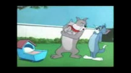 Tom & Jerry (parody) 