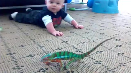 Хамелеон и малко бебе