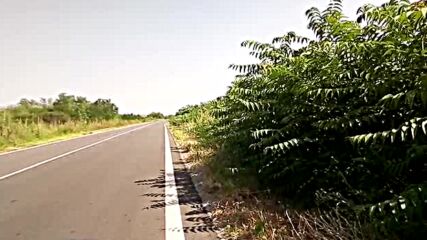 Vid_20230724_161953.3gp