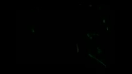 New Moon Trailer(2).3gp