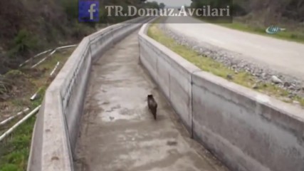 Нещо да кажете за този състезател ?