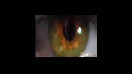 System Of A Down - Science