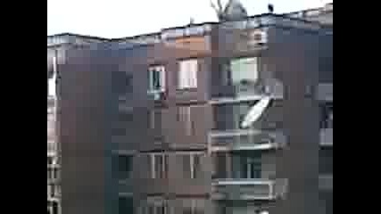 avto gara