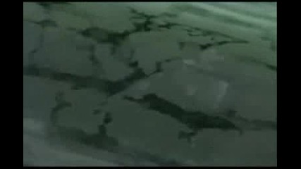 Naruto - Rlzzz