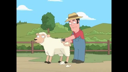 Family Guy - Sheep Shearing