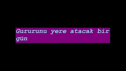 1753995e.flv