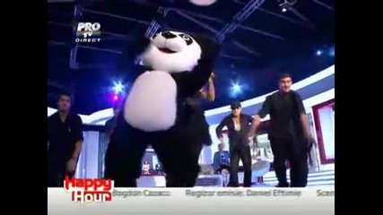 Anda Adam - Panda madam @ live la Happy Hour [2011]