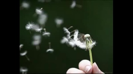 Dust In The Wind - Sarah Brightman