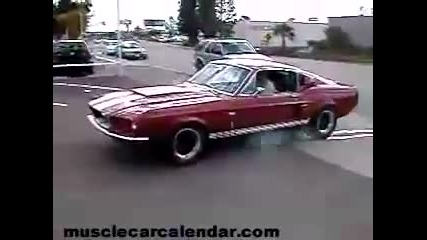 Mustang Shelby Cobra Gt 500 Burnout