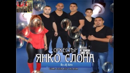 07 Ork. Yanko Slona - Iek zoralo kucheki 2014 By.dj kiro