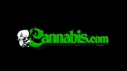 Joint Pictures