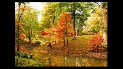 Tangerine Dream - Largo