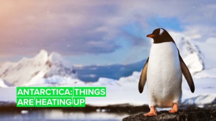 Four ways Antarctica's rising temperatures will affect everyone