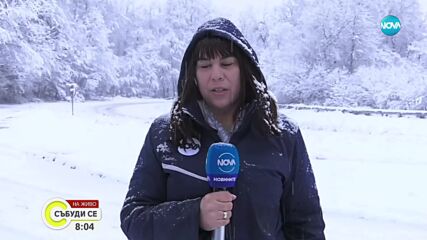 Сняг и хлъзгави пътища: Каква е обстановката в страната