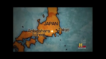 Злокобни Места " Гората Аокигахара " Япония