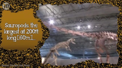 "10 Неща, които не Знаете за Динозаврите"
