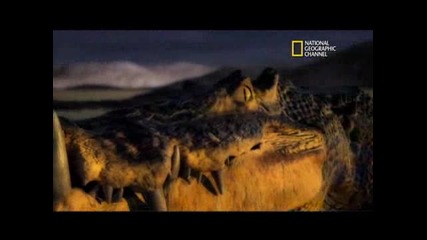 Weird Prehistoric Crocs Uncovered - National Geographic 