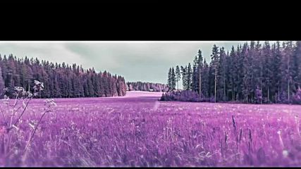 Lukas Termena - Beauty