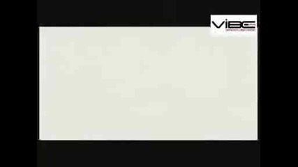 Vibers ft Tara Mcdonald - Revolution (official video) [2009]