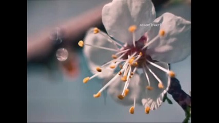 Ballerina - Igor Krutoi