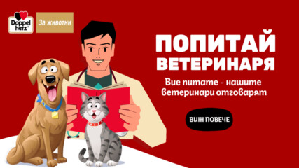 DogsAngCats.bg помага на собствениците на домашни любимци с новата кампания „Попитай ветеринаря“