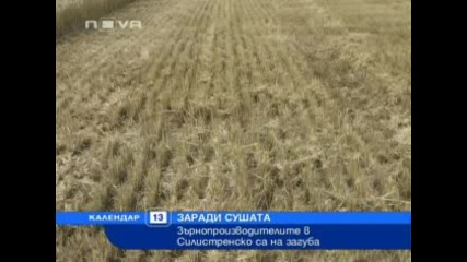 Сушата причинява големи загуби в зърнопроизводството