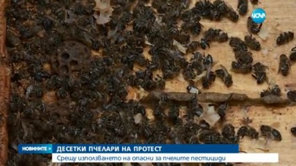 Пчеларите излизат на протест