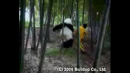Kung-Fu Panda - Пародия