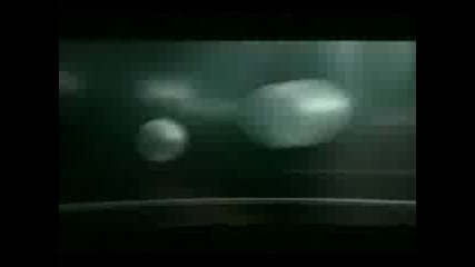 Реклама На Adidas - Impossible Is Nothing