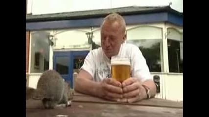 Хубаво е да си имаш такава катеричка