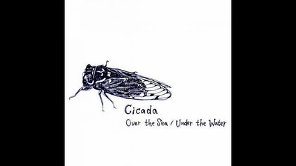 Cicada - Finally...