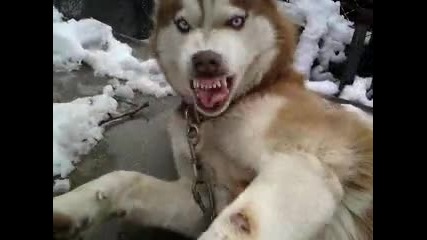 Ares