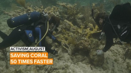 Activism August: Two friends are changing the game for coral reefs