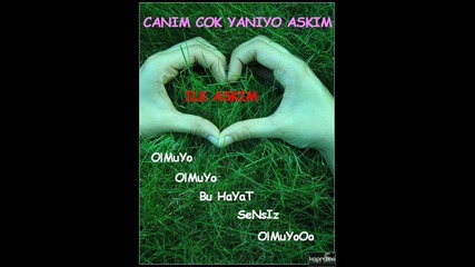 Selin Seher - Koca Cinar