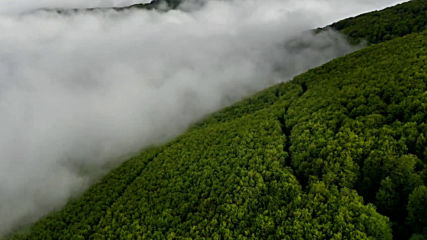 Бузлуджа, заснет с дрон