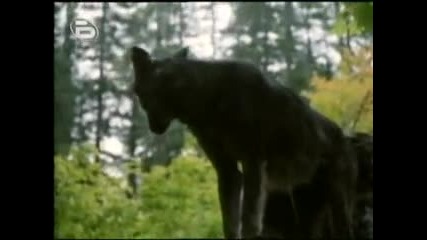 Бенджи част 3 bg audio