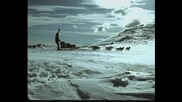 Водка Аляска - Реклама 2004 