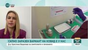 Бацелова: Няма повод за паника заради новия подвариант на COVID-19