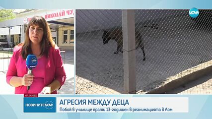 Тийнейджър е в реанимация след побой от друго дете в Лом