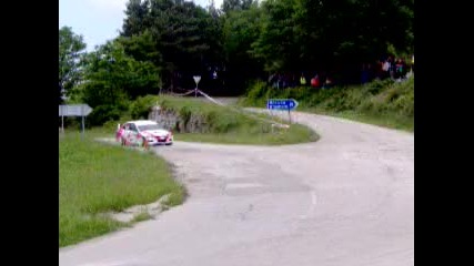 rally vida 2010 