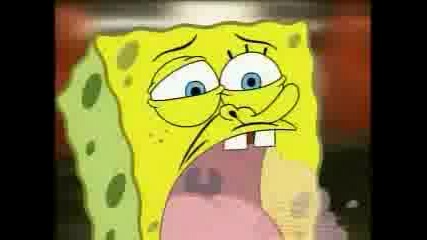 Sponge Bob