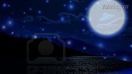 La Noche- Нощ -palemiger Spatzen