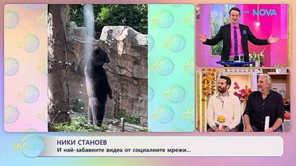 НИК ТОК | Най-любопитното от социалните мрежи | На кафе | 28 окт. 2026