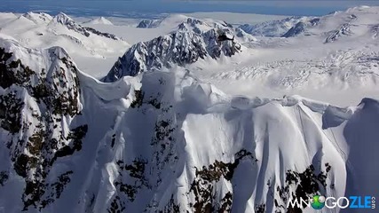 The Art of Flight