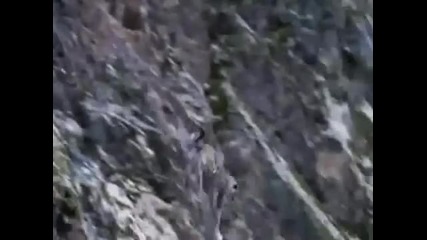 Top 10 the most beautiful animal hunts (by odissey505)
