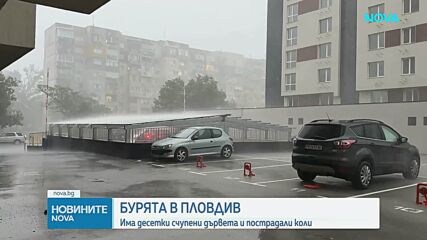 Проливен дъжд и буря наводниха улици и събориха дървета в Пловдив