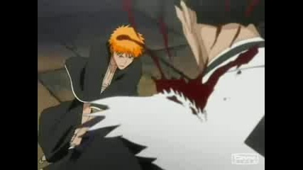 Bleach Amv - Meaning Of Life